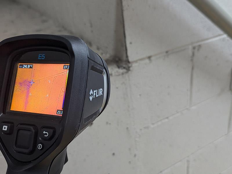 Thermal-Imaging-Moisture-Investigations